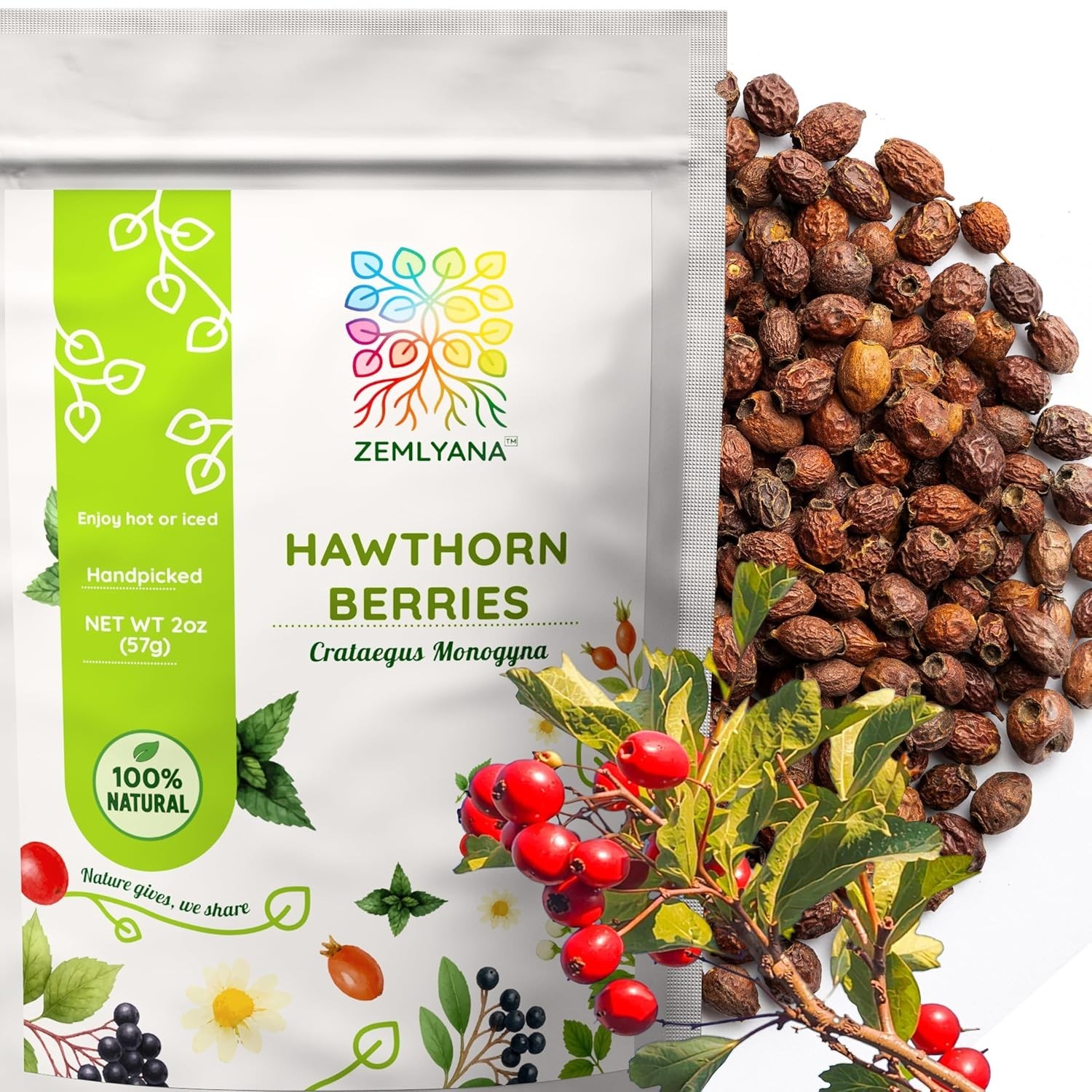 Caffeine-Free Hawthorn Berry Tea – Whole Dried Berries, 2oz for Relaxation