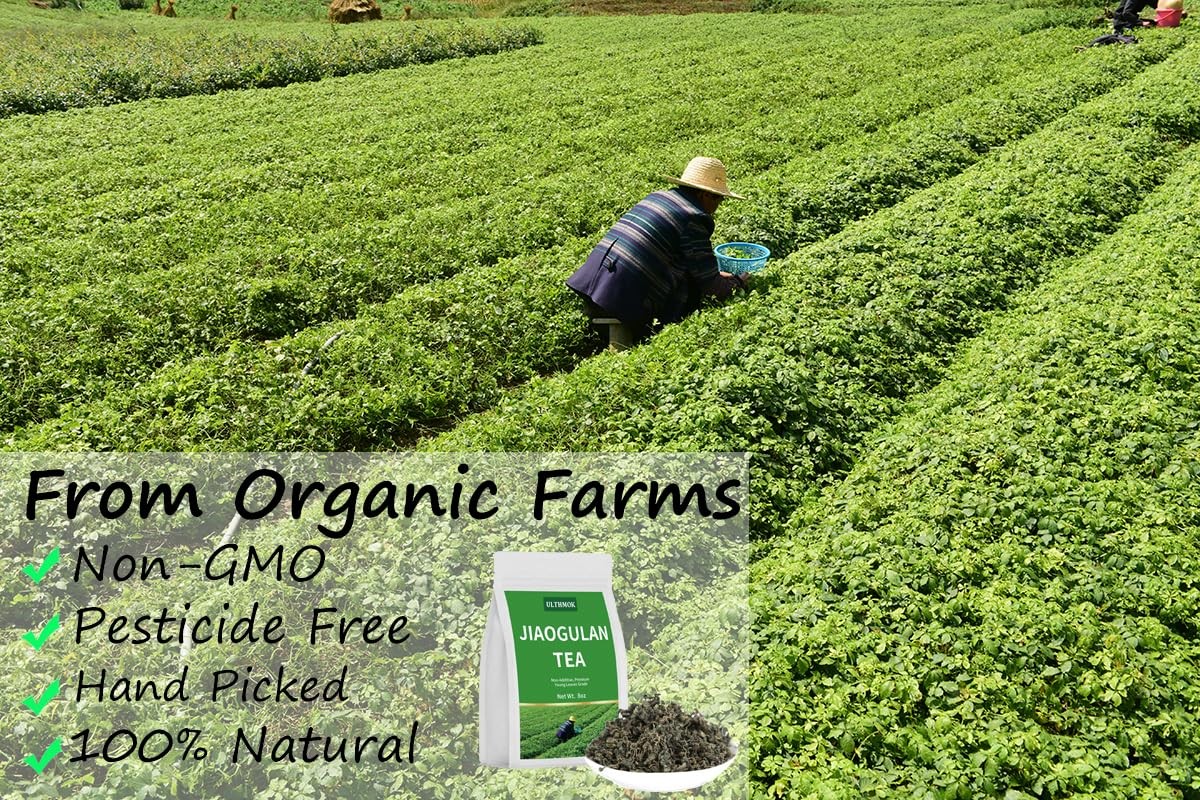 Natural Gynostemma Tea-Jiaogulan Tea 8 Oz, Reusable Bag.100% Natural Dried Lo…