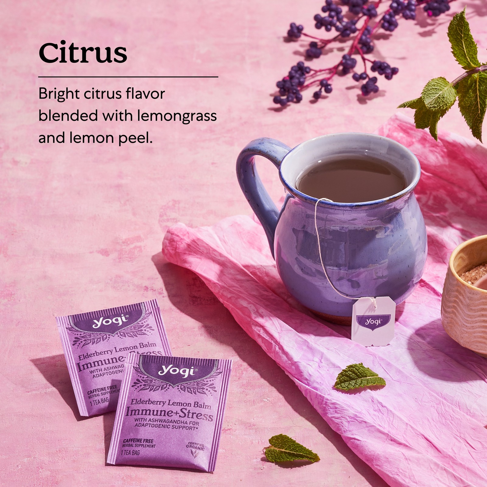 Yogi Tea – Elderberry Lemon Balm Immune and Stress Support – 6 Pack, 96 Tea Bags