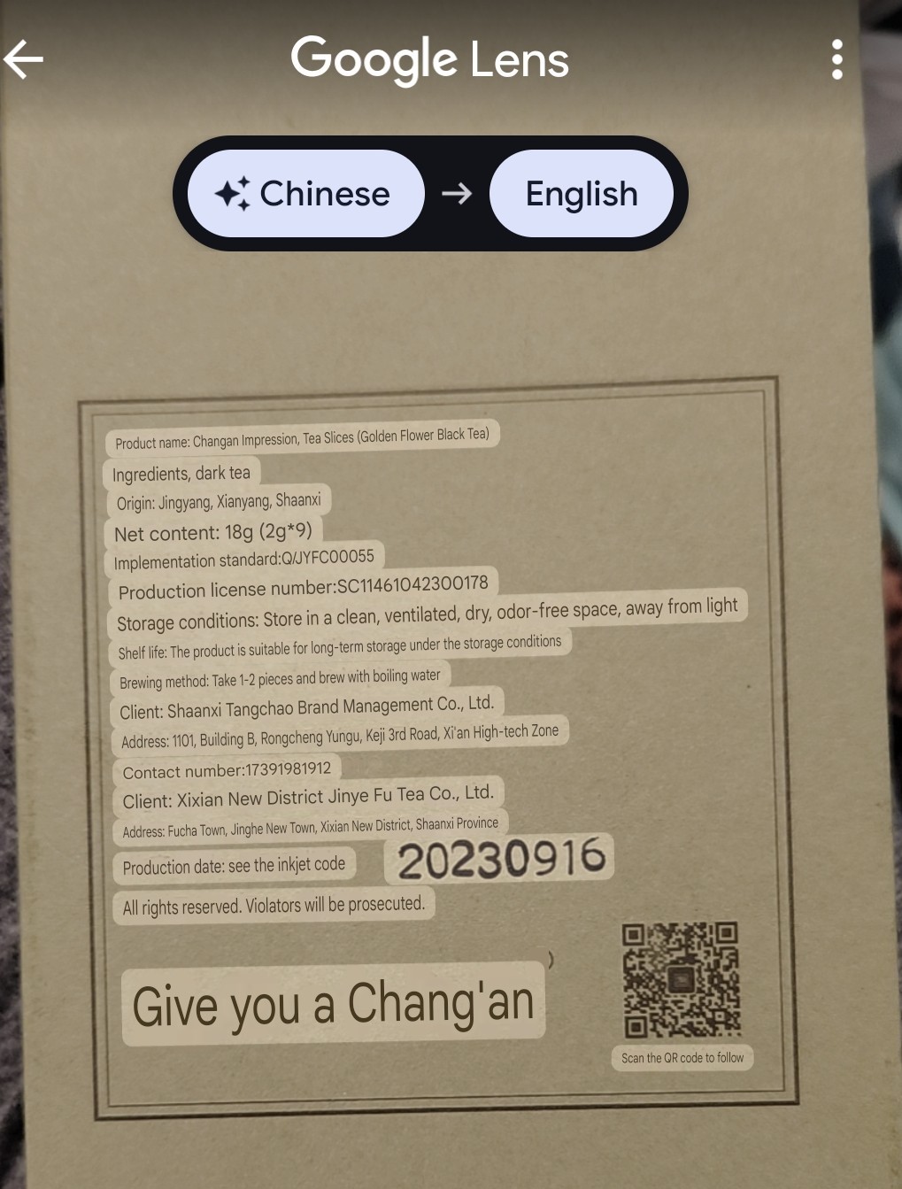 2023 Fu Zhuan Cha Golden Flower China Dark Tea Bricks Cake Monuments Chang’an