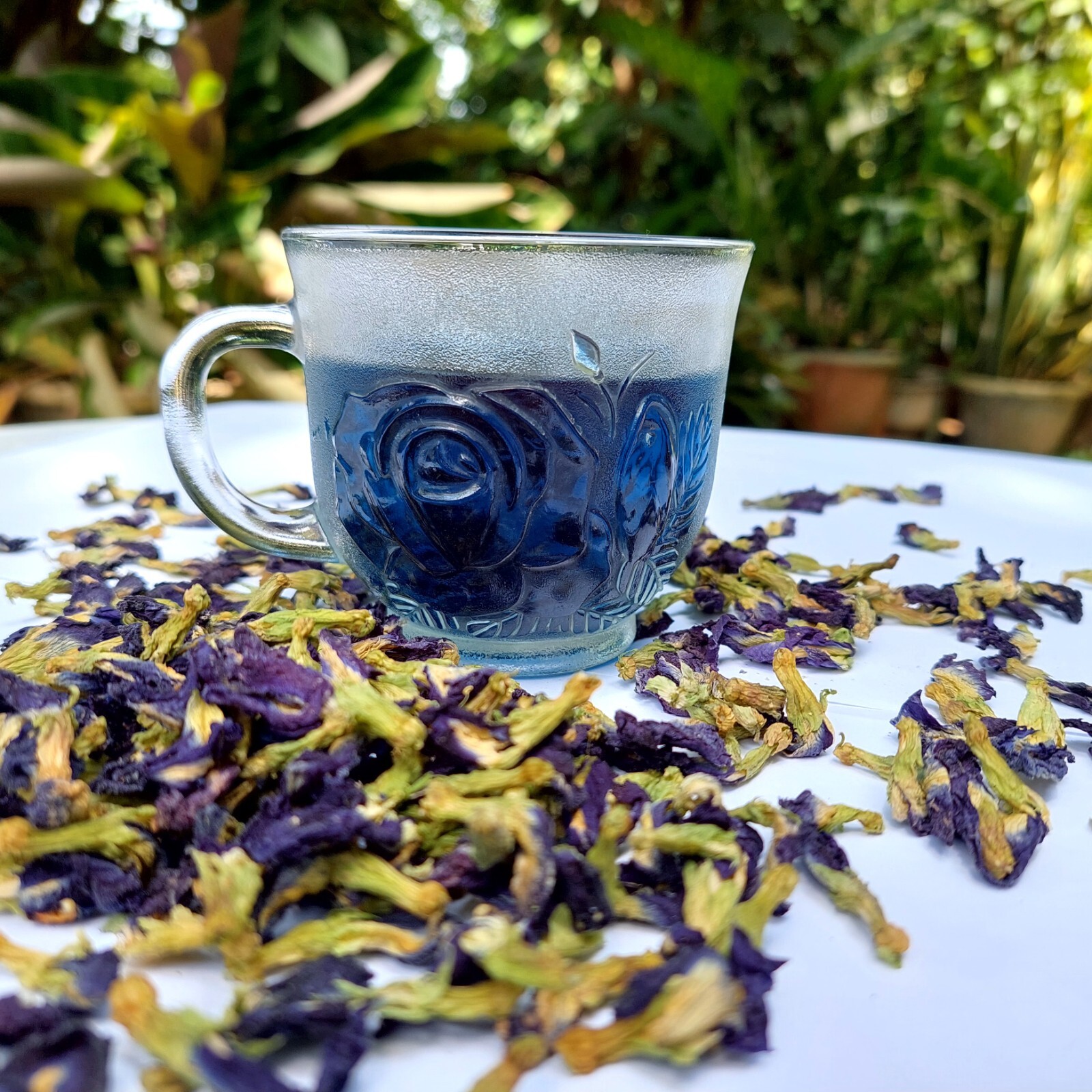 500g Blue Butterfly Pea Flower Clitoria Ternatea Nil Katarodu For Herbal Drink