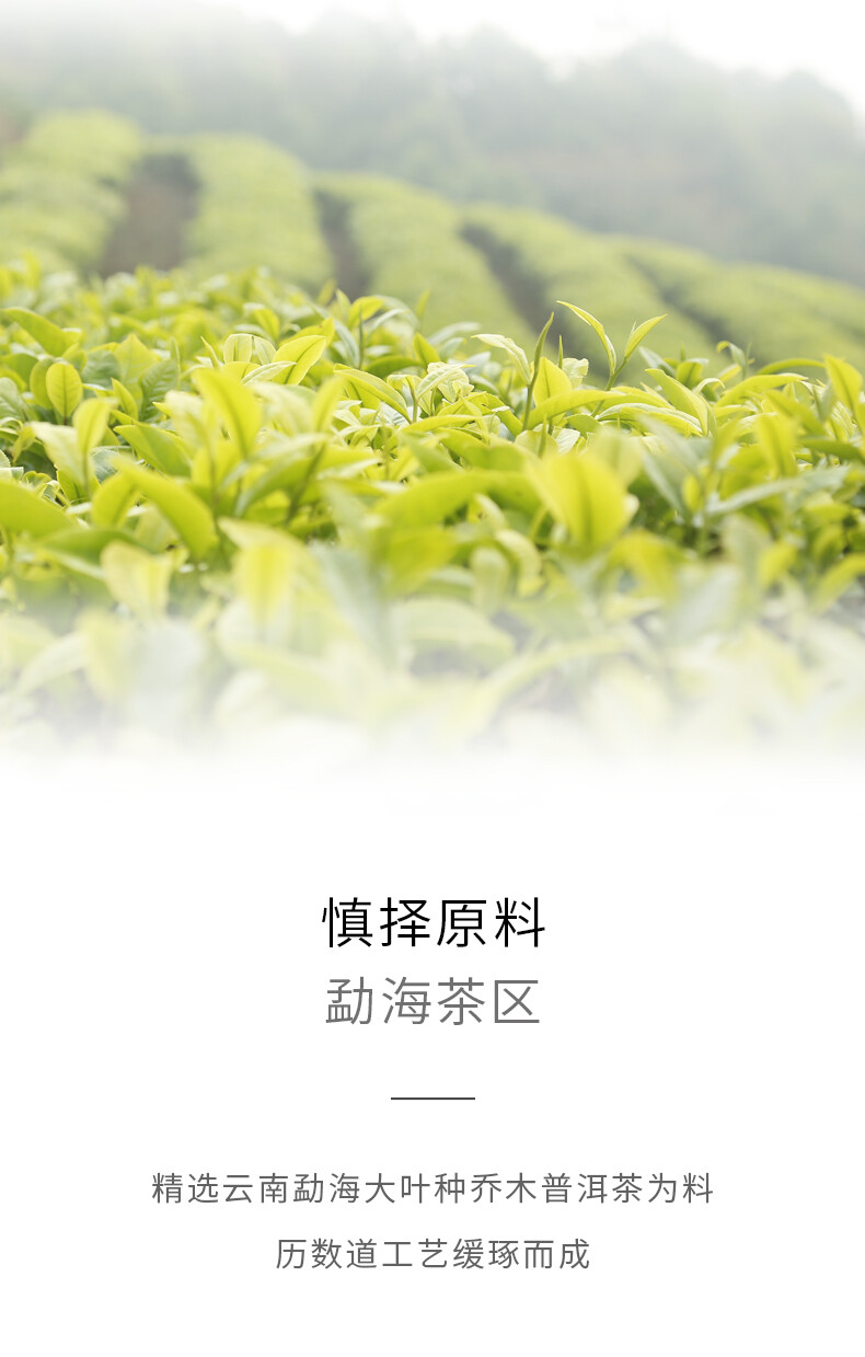 “Jiao Yang” 2020 Haiwan Old Comrade Blazing Sun Ripe Puerh Shu Puer Tea 357g
