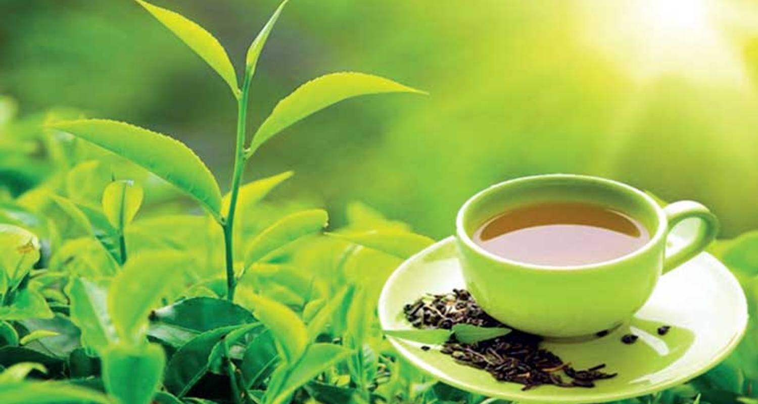 Ceylon Pure Hatton Tea Premium High Quality BOPF 100% Natural Black 100g