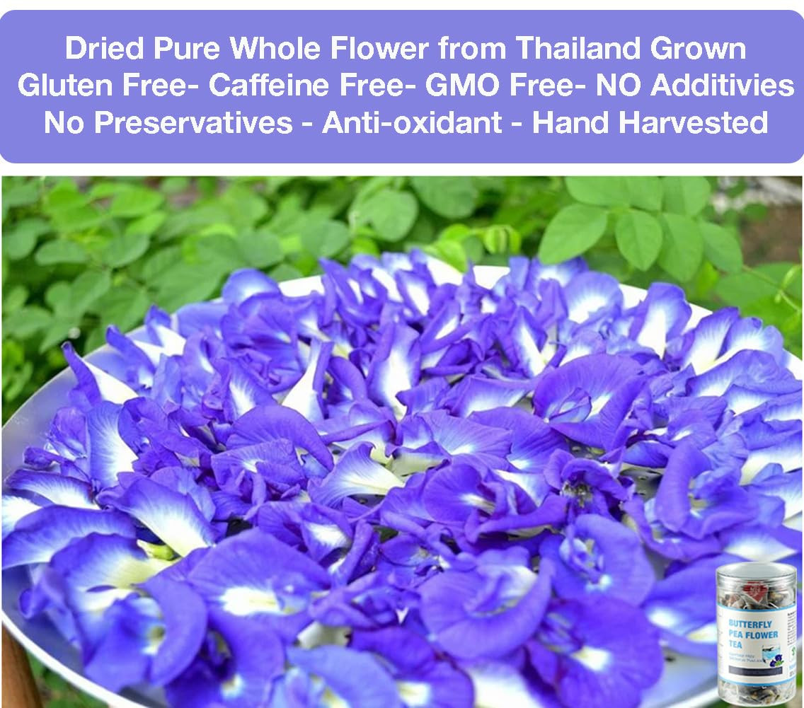 50 Dried Blue Butterfly Pea Flower Tea Bags | Thai Herbal Tea | Blue Purple Pea