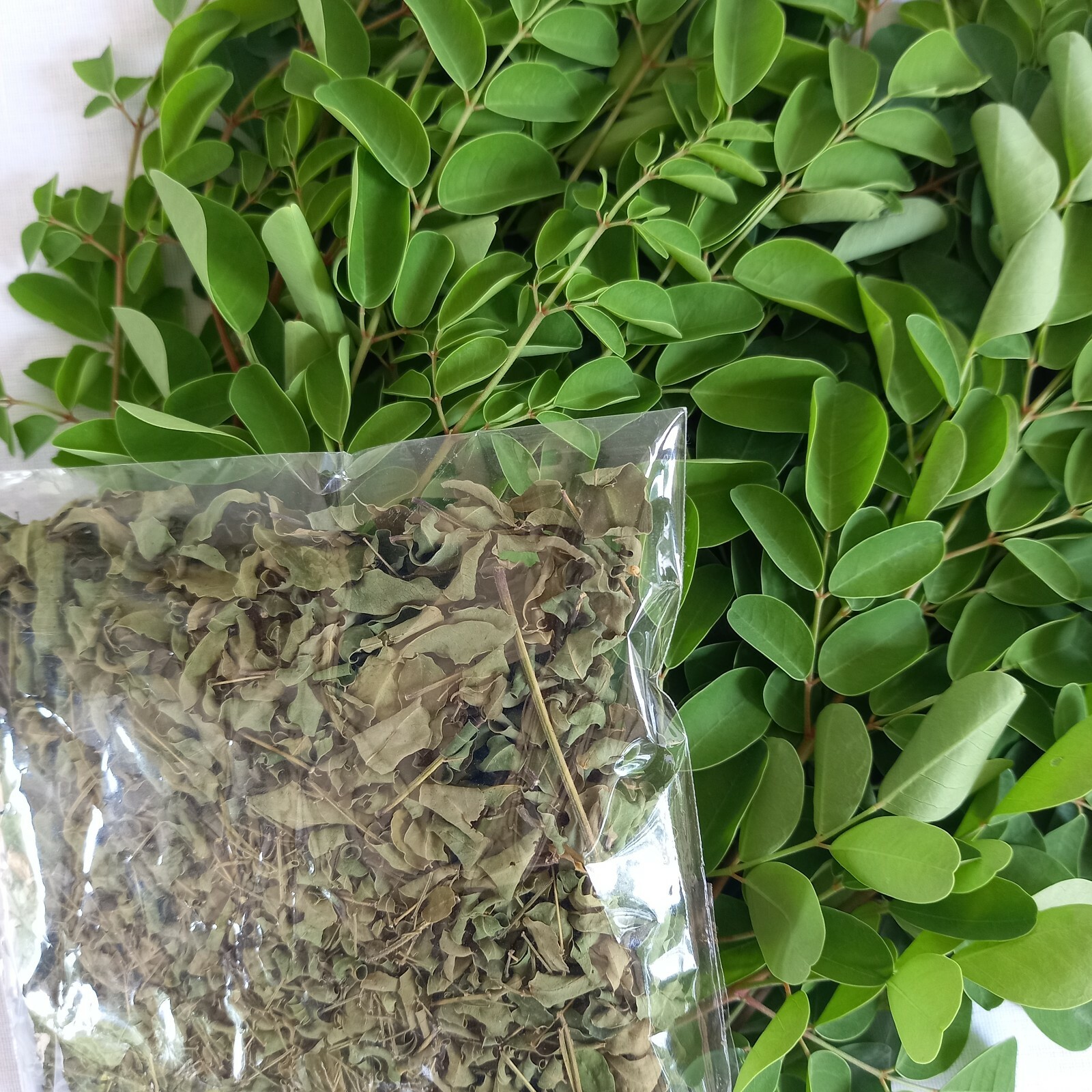 DRIED MORINGA LEAVES Herbal Oleifera Organic Pure Natural Multi Vitamin Ceylon
