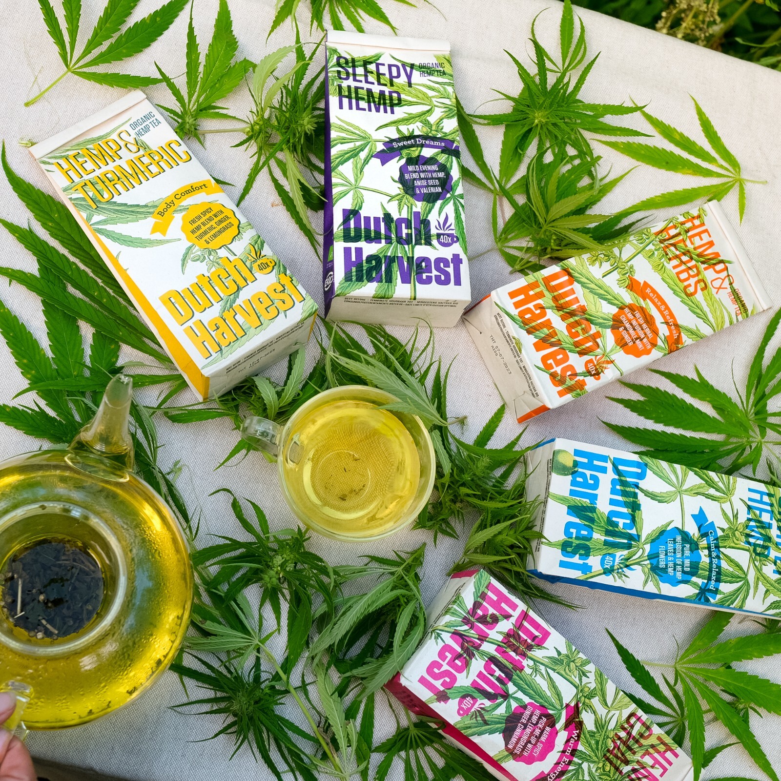 (5 pack bundle) Dutch Harvest – Hemp tea – Organic loose leaves (caffeine free)
