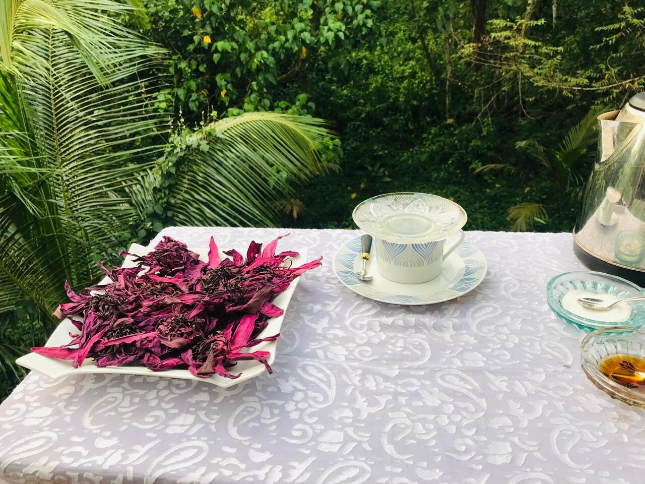 Ceylon Red Lotus 1lb Nymphaea Rubra 100% Hand Pick Organic Herbal Flowers Tea