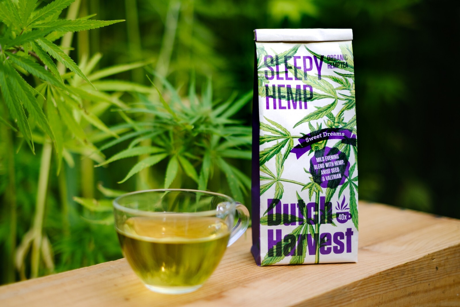 Dutch Harvest – SLEEPY HEMP – A mild evening blend for sweet dreams – Organic 