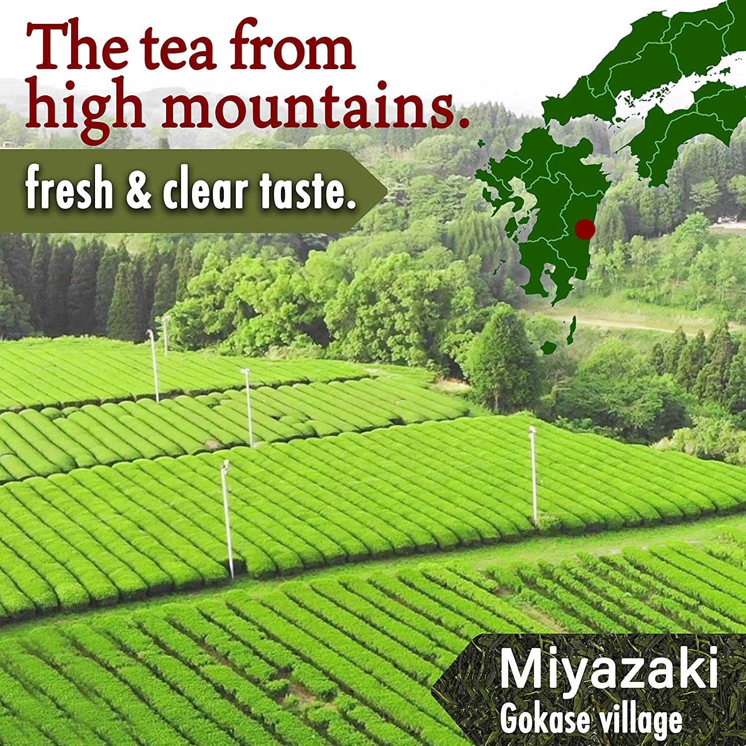 YAMASAN KYOTO UJI Organic Oolong tea Loose Leaf Tea,100% authentic made in Ja…