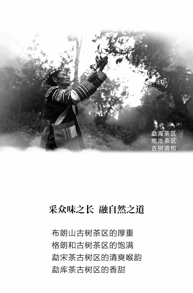 2020 Haiwan Old Comrade Liang Pin Ling Qi Shen Puer Tea Old Raw Pu’er Cake 400g