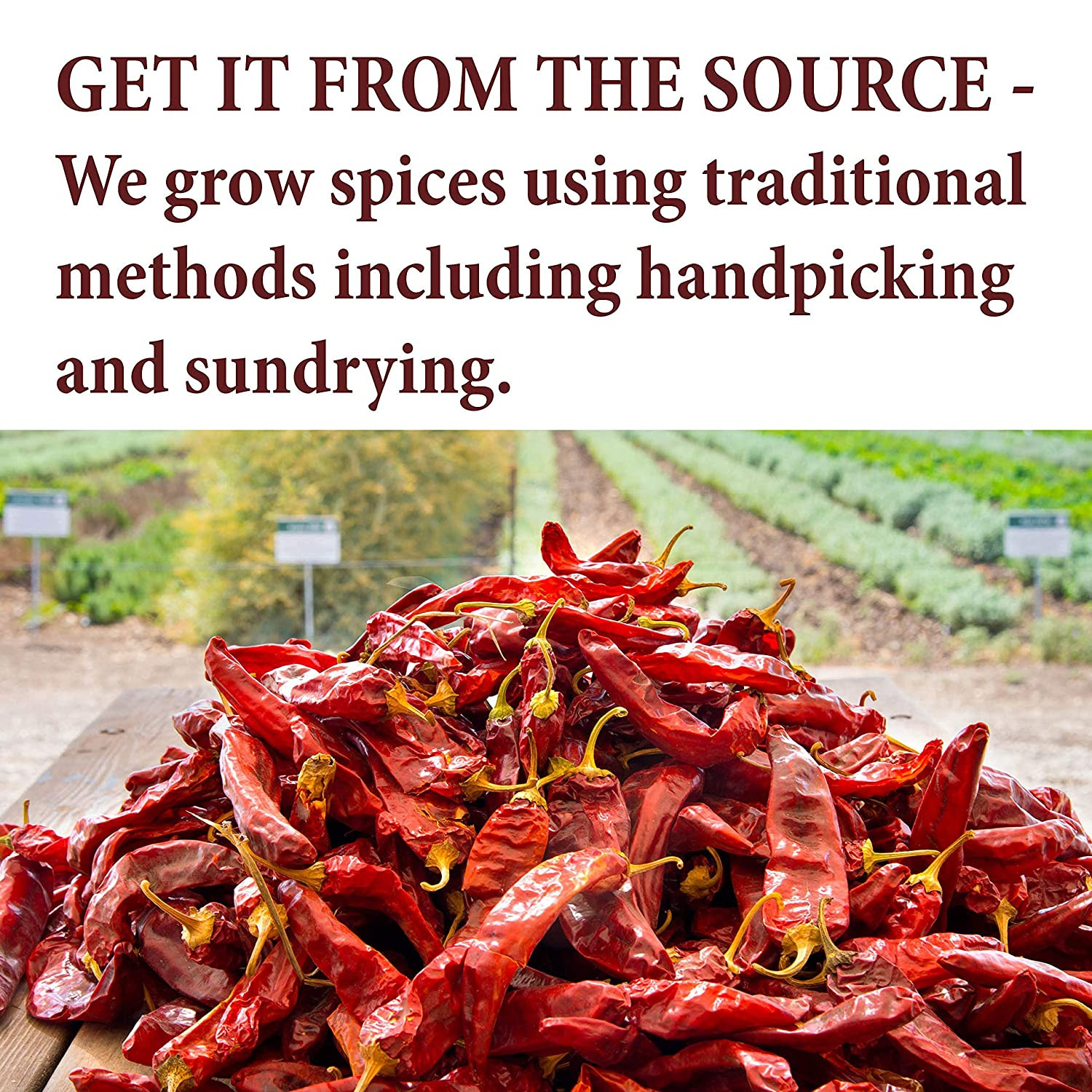 The Spice Way Star Anise – Whole Star Anise (3 Oz) Great for Baking and Tea