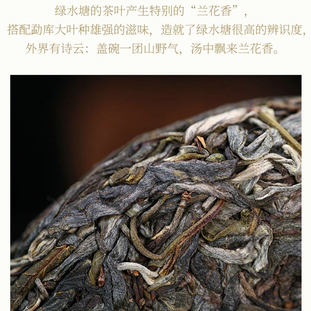 Pu-erh 普洱,2022,盛嘉源 SHENG JIA YUAN, 綠水塘 green pond ,357g,Raw
