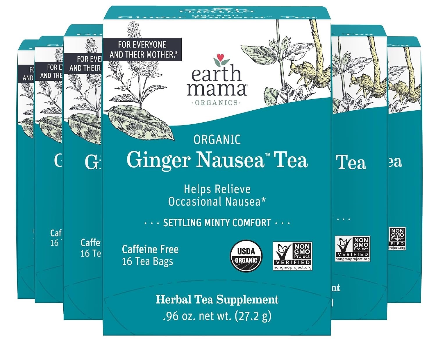 Caffeine-Free Ginger Nausea Tea | Herbal Blend for Digestion