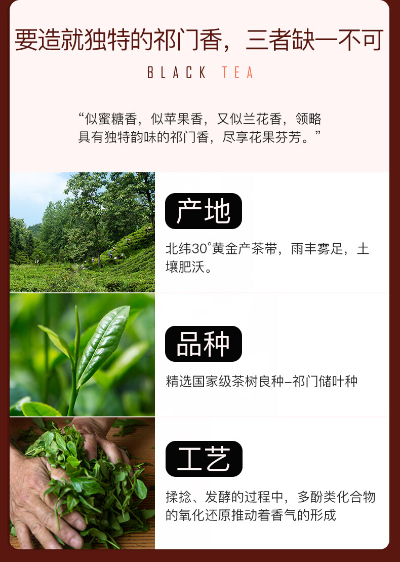 EFUTON Brand Qi Men Hong Cha Chinese Qimen Gongfu Keemun Black Tea 250g