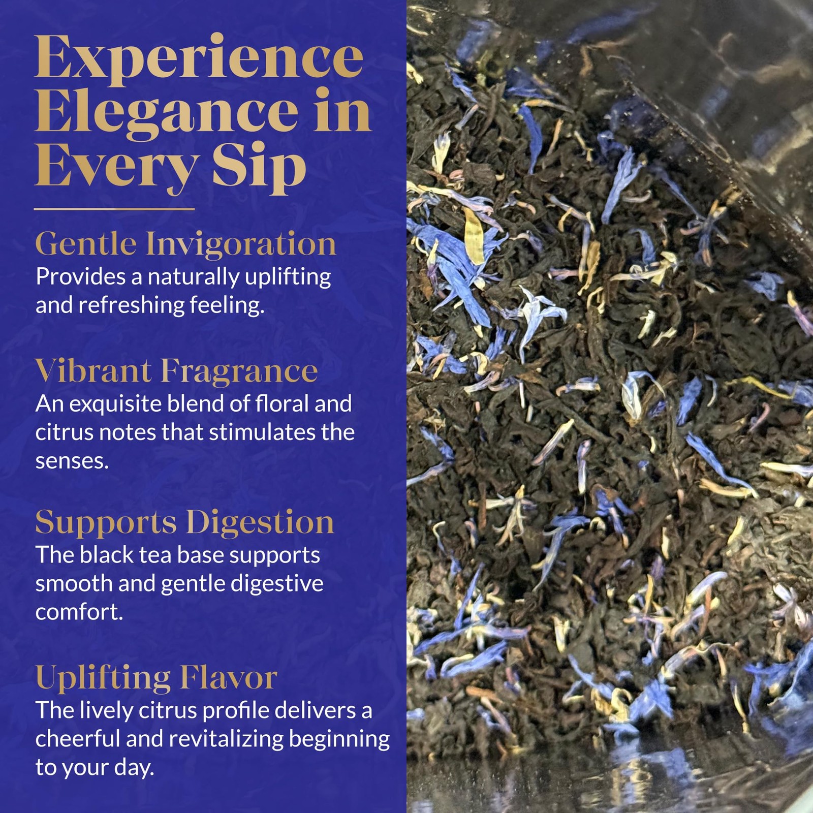 Earl Grey | 1LB (454g) | Loose Leaf Black Tea | Premium Ceylon Tea with Natur…