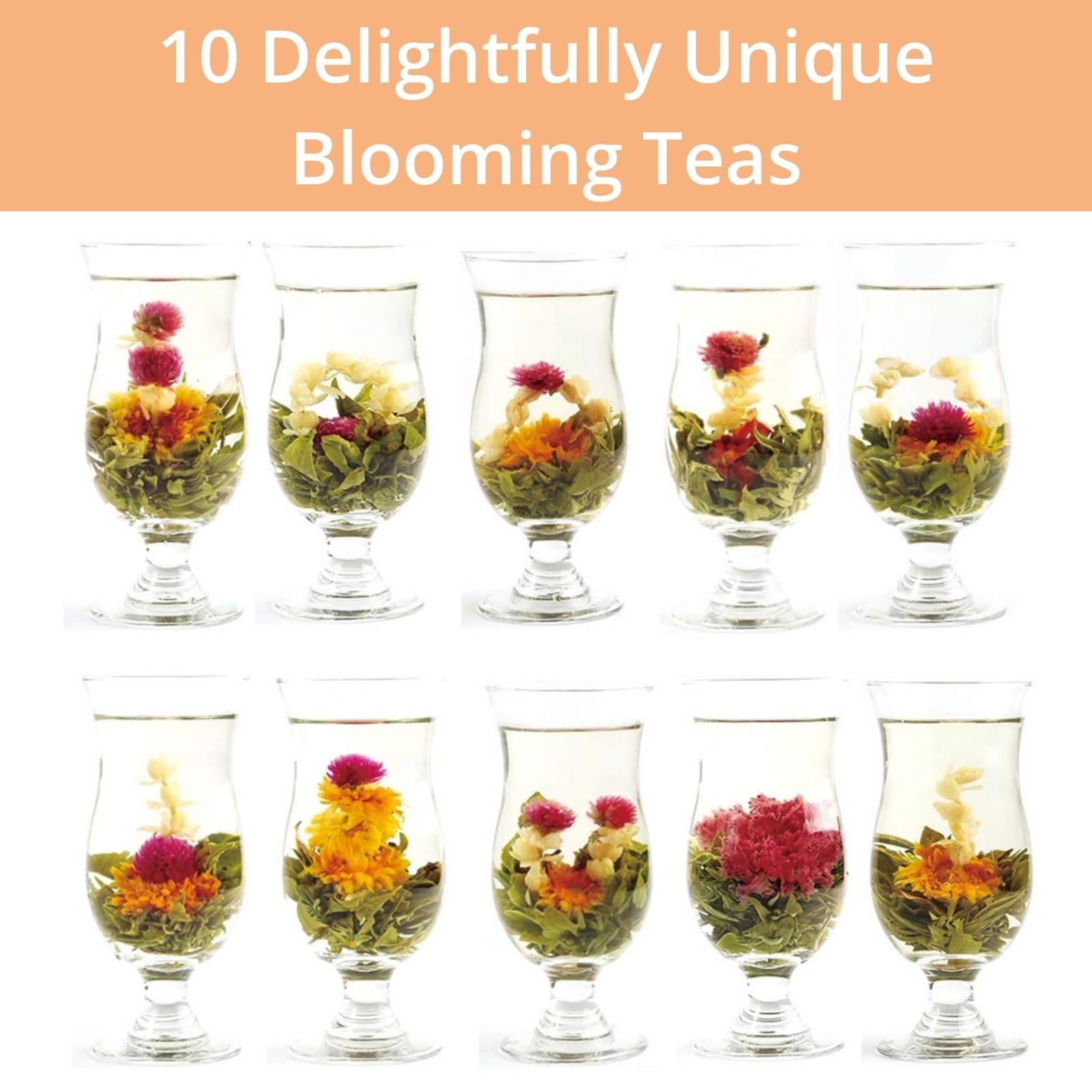 Blooming Tea Gift Set, 10 Unique Varieties Flowering Balls, VitalForest