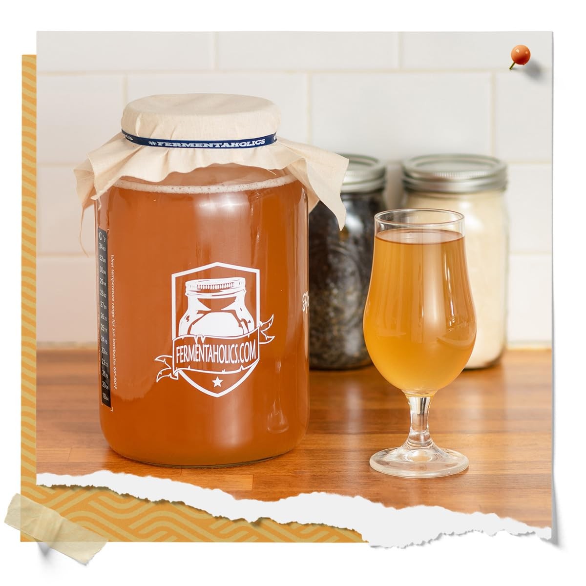 Fermentaholics ORGANIC Kombucha SCOBY With Twelve Ounces of Starter Tea Live…