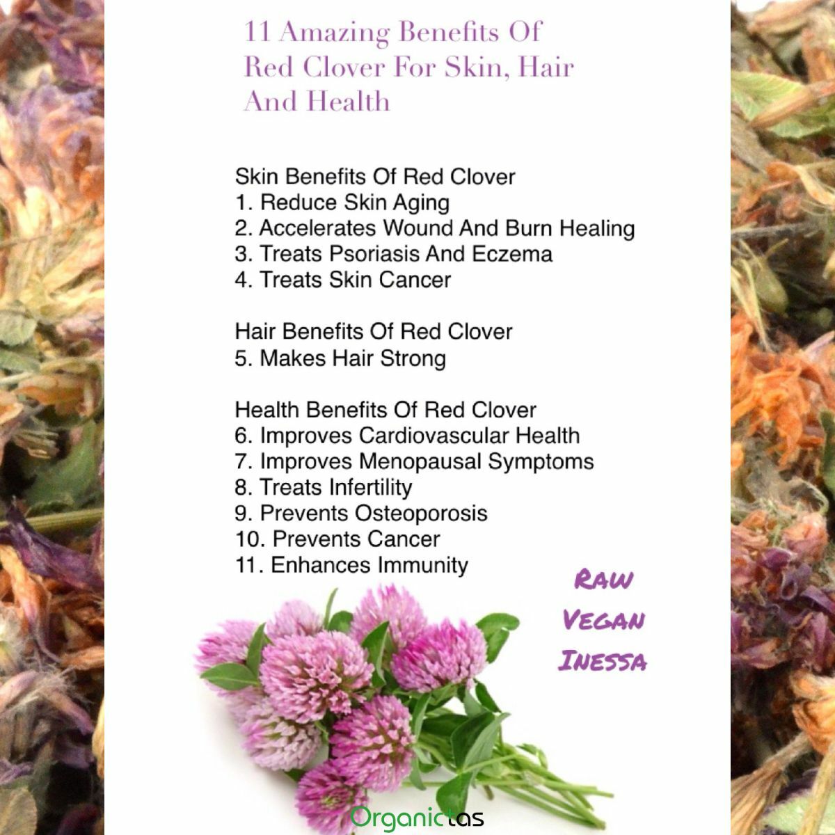 RED CLOVER Herbal Flower Tea (Trifolium Pratense) Premium Quality Organic 100 g