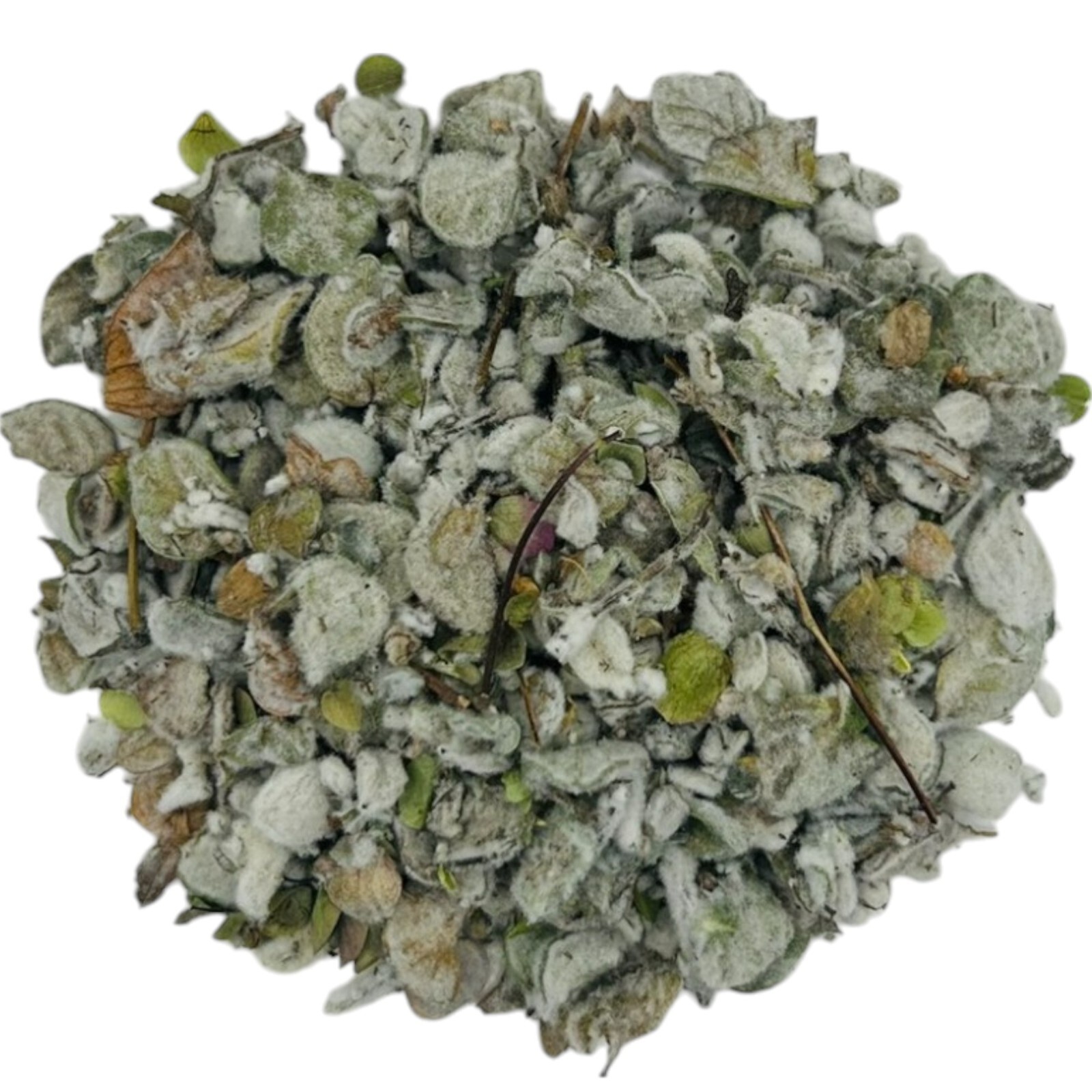 Certified Organic Premium Dried Dittany Leaves 25g-1.95KG – origanum dictamnus