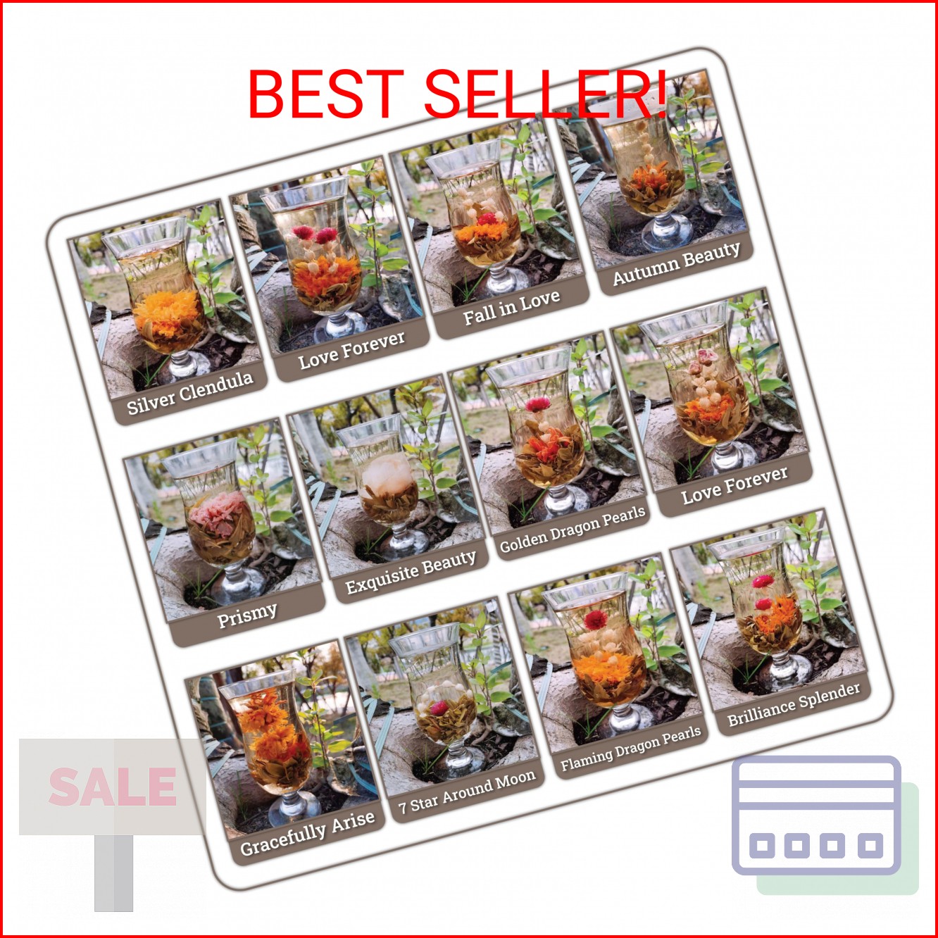 Botanical Flowering Gourmet Tea – 12 Unique Varieties of Fresh Blooming Tea Flow