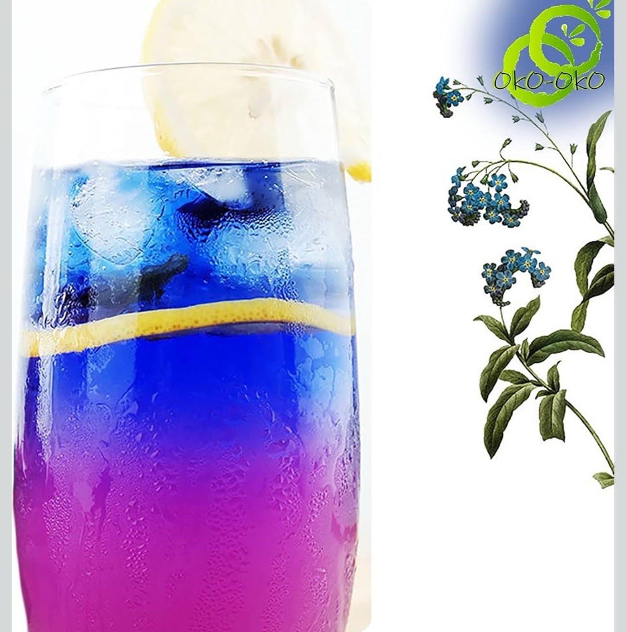 Blue Matcha Butterfly Pea Flower Powder Premium Quality from Thailand x 3
