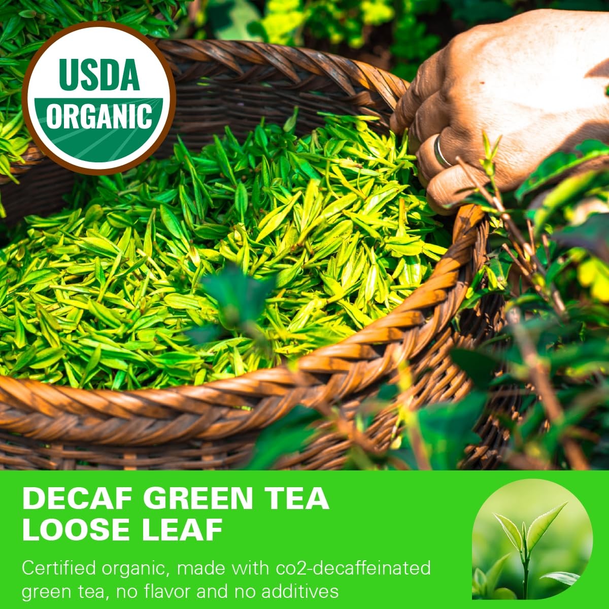Organic Decaf Green Tea Loose Leaf, 110+ Cups, Made of CO2-Decaffeinated Gree…