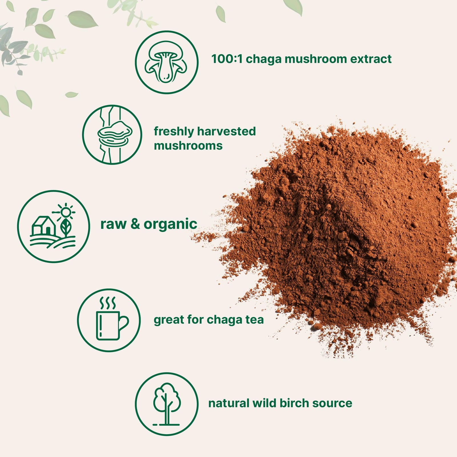 Micro Ingredients Organic Chaga Mushroom Extract 1001 Powder 10 Ounce | Wild …