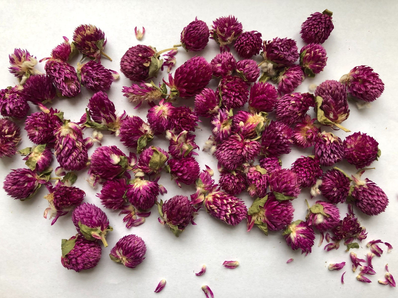 US SELLER! 8oz Food Grade Dried Loose Globe Amaranth Gomphrena Flower Herbal Tea