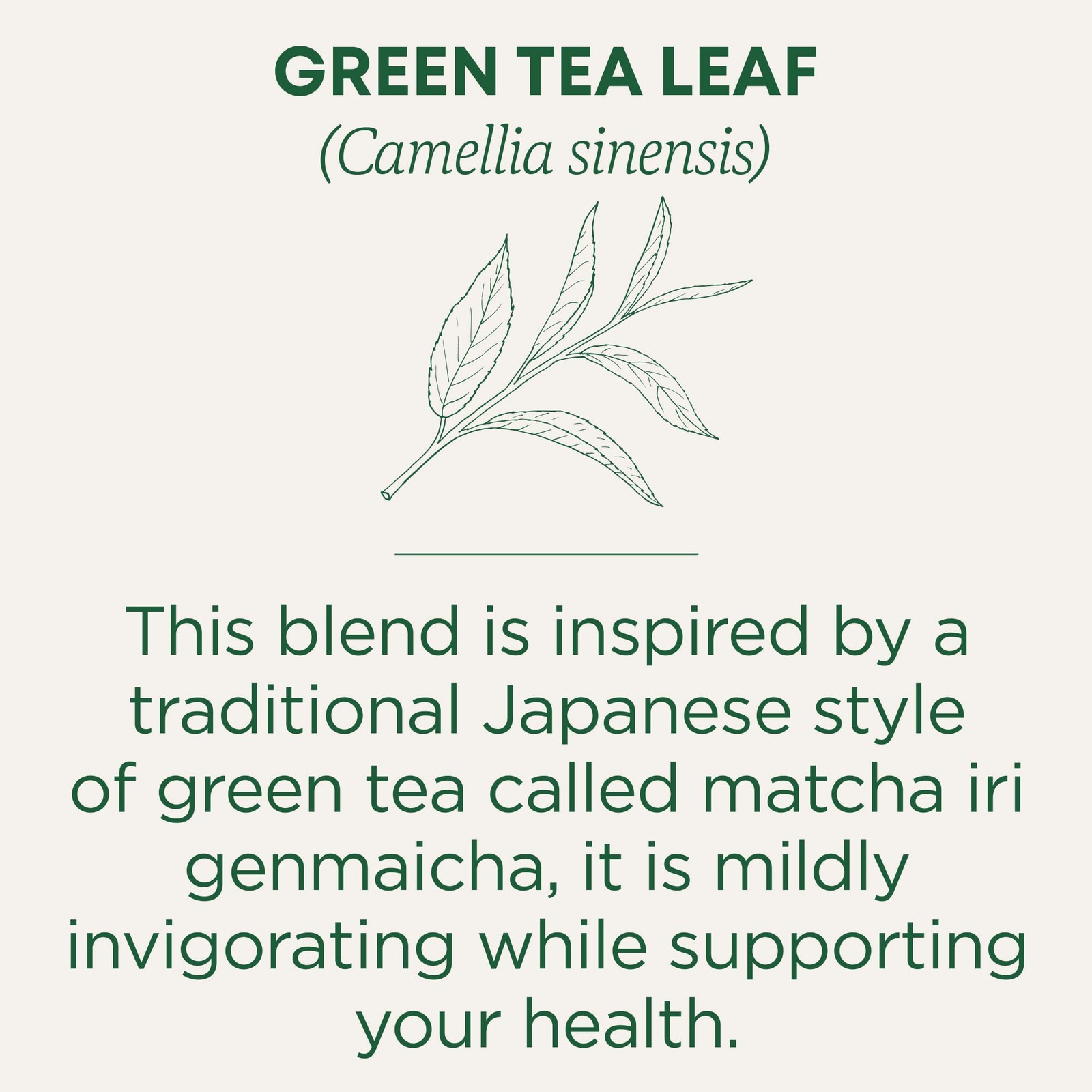Traditional Medicinals Tea, Organic Green Tea Matcha, 96 Count (Pack of 6)