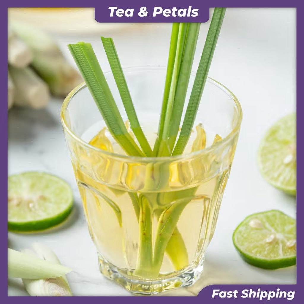High Quality Lemongrass Tea Leaves Cut tea Herb Organic Source Thai,Malaysia