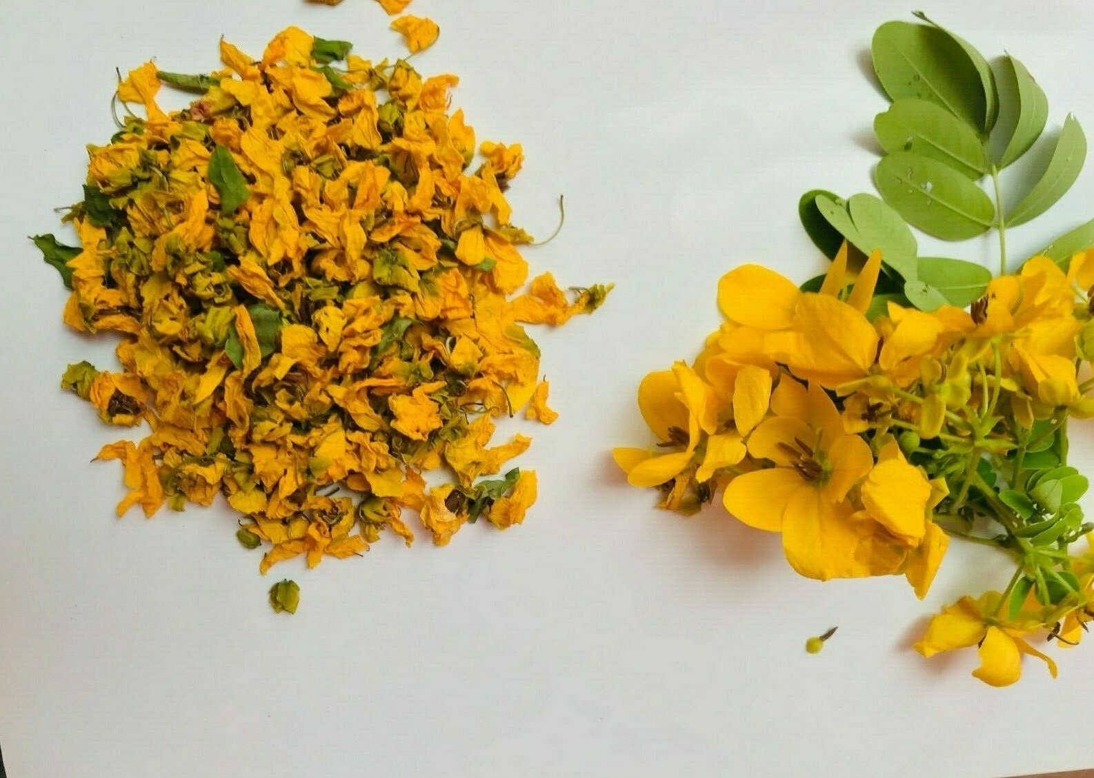 RANAWARA MAL Natural HERBAL Flower CASSIA AURICULATA 100% CEYLON Ayurveda 200g