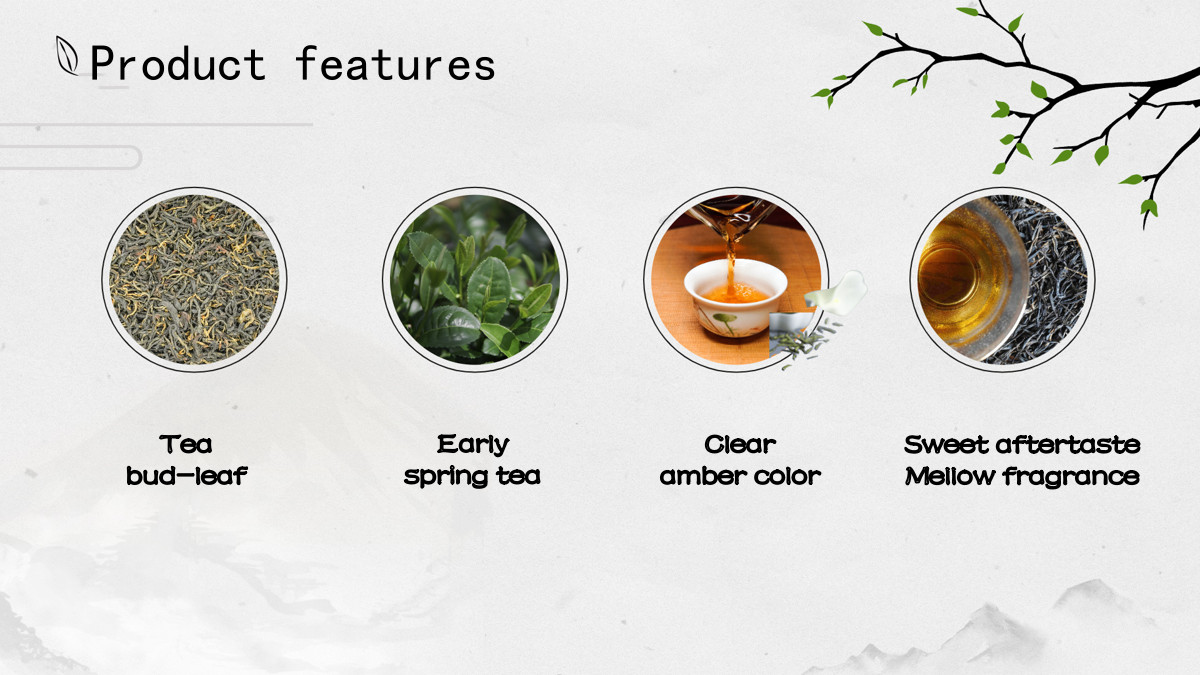 Yunnan Changning Pu-erh Tea/Compressed & Squared Raw Tea/Easy to carry and break