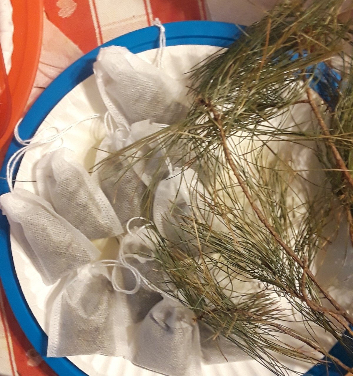 6 Pc Lot: BUY 3 GET 1 FREE Organic Eastern White Pine Needle Tea Bags dehydrated