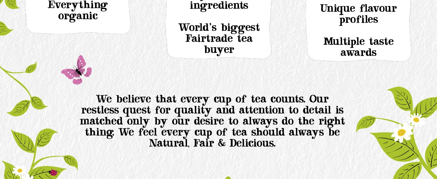 Strawberry and Elderflower, Organic, Plant-Based, Caffeine-Free, Great