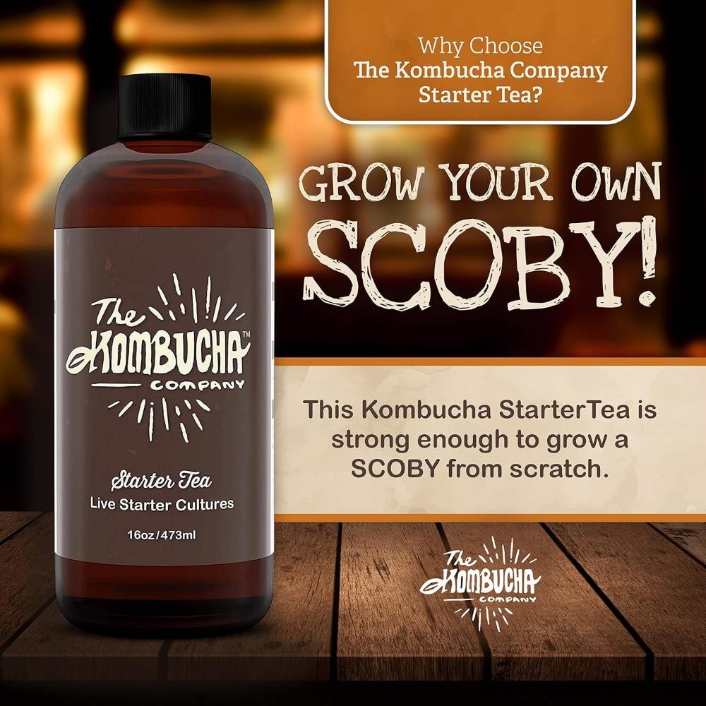 Kombucha Starter Tea | Grow SCOBY From Scratch | 16 oz Bottle