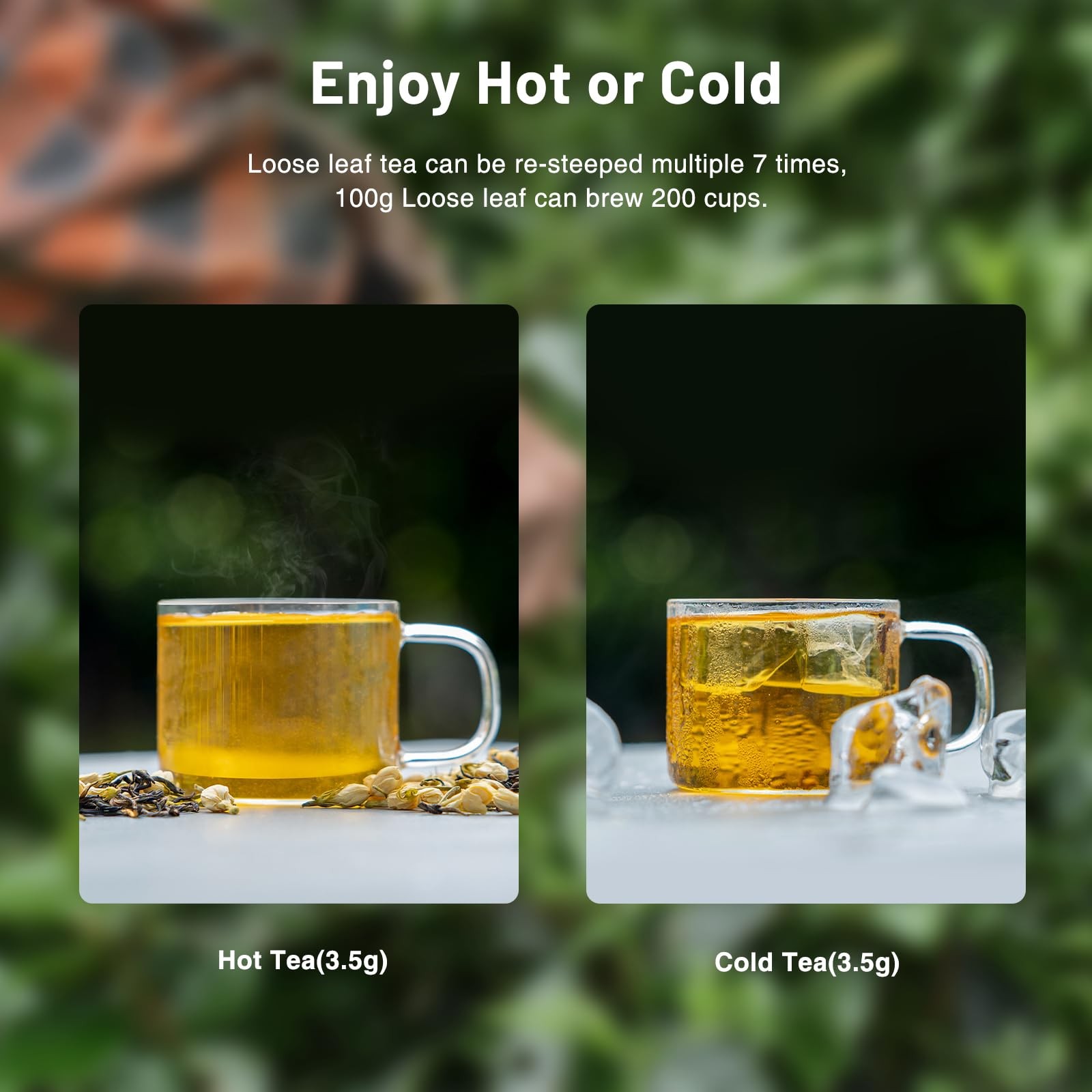 iTeaworld Da Hong Pao – Oolong Loose Leaf – Wuyi Rock Tea, Oolong Tea Loose L…