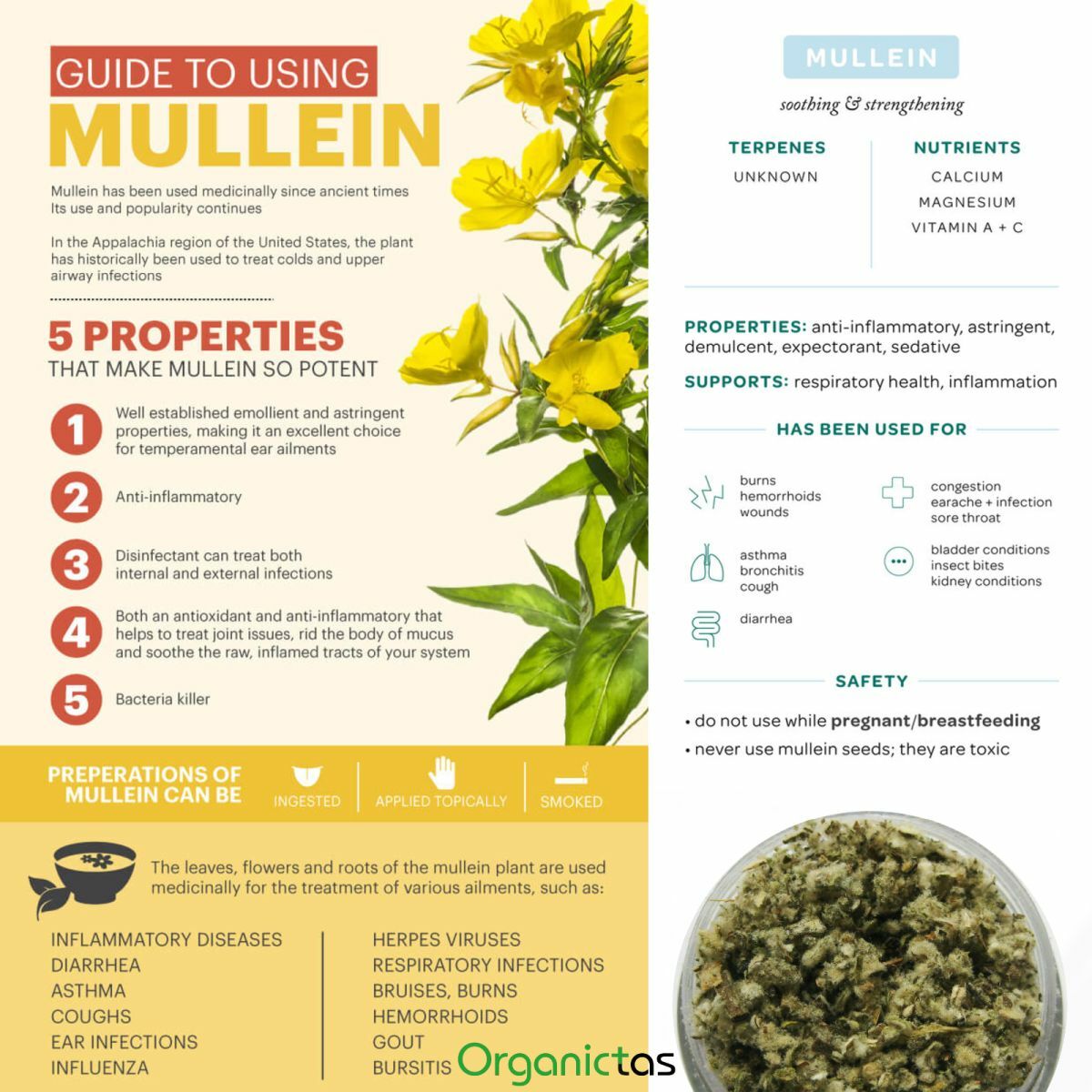 Organic MULLEIN Leaves & Flowers Cut Herbal Tea (Verbascum Thapsus) Grade A 100g