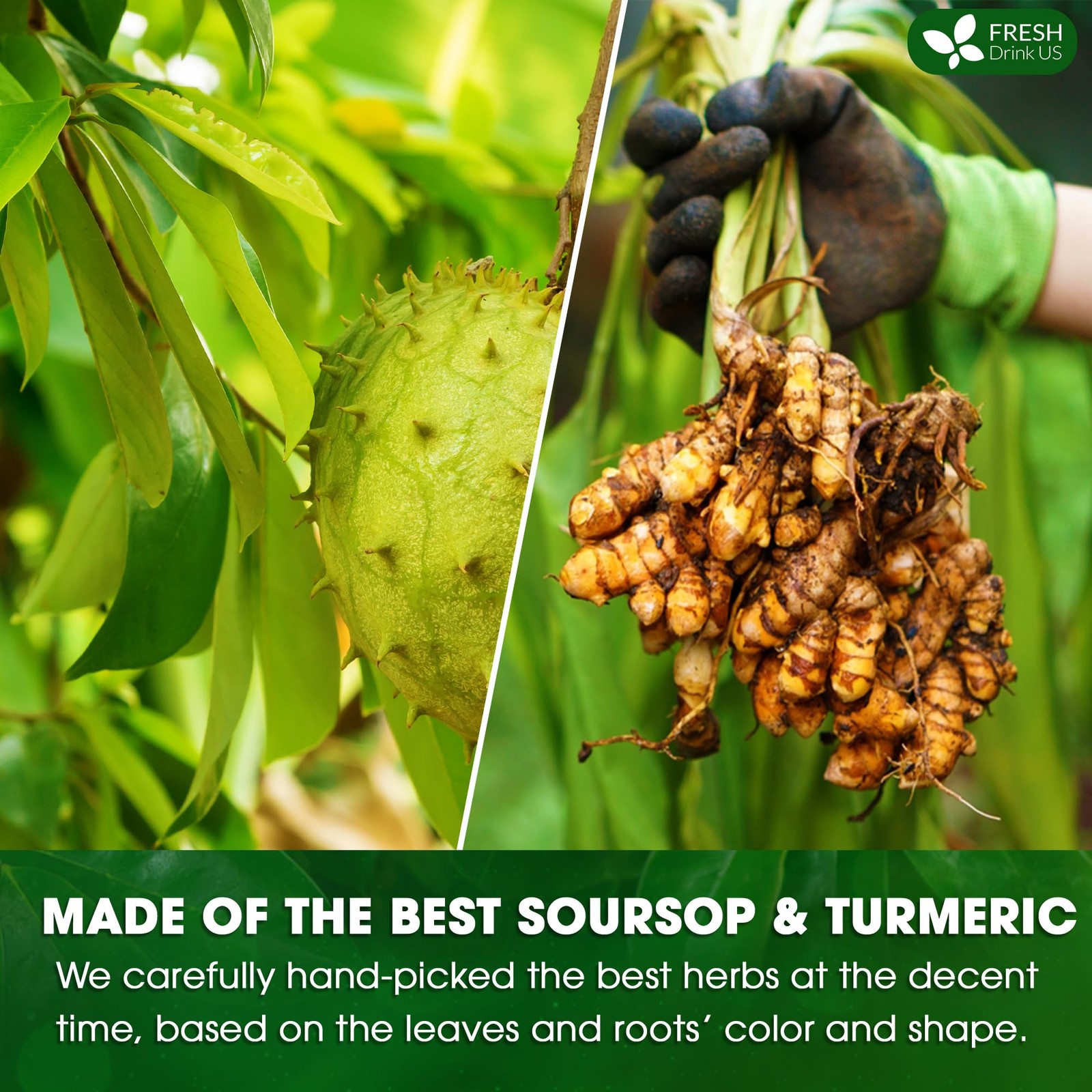 , Premium 40 Soursop Turmeric Tea Bags, 100% Natural, Blend of Soursop Leaves…