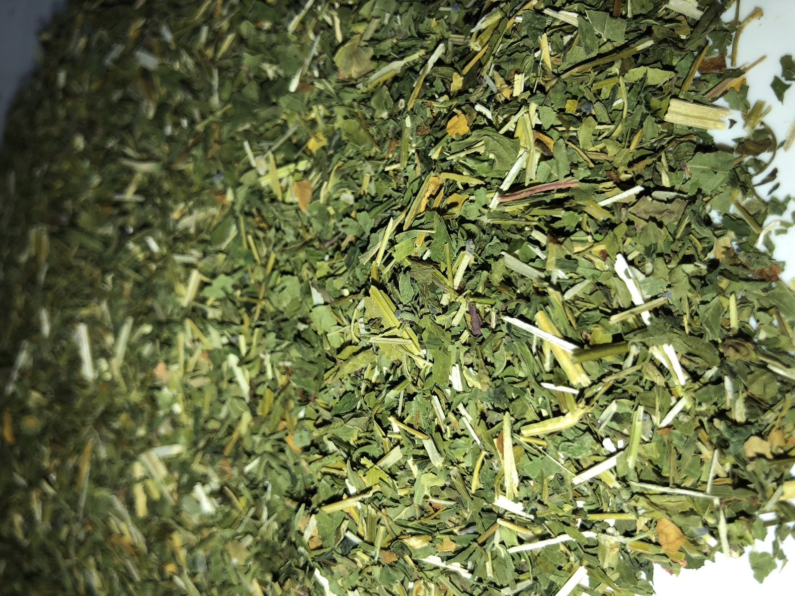 CO Skullcap Certified Organic Herb Leaf Mad Dog Weed Spice Discounters