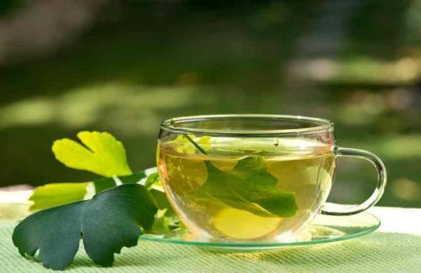 Ginkgo Leaf – Ginkgo Biloba Loose Leaf C/S from 100% Nature, Wild Crafted