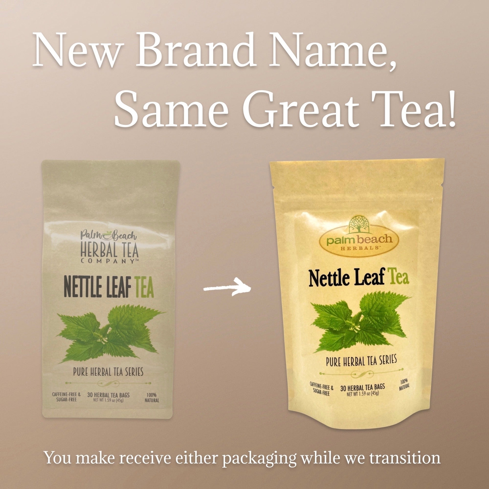 Nettle Leaf Tea by Palm Beach Herbals | 30ct, Caffeine-Free