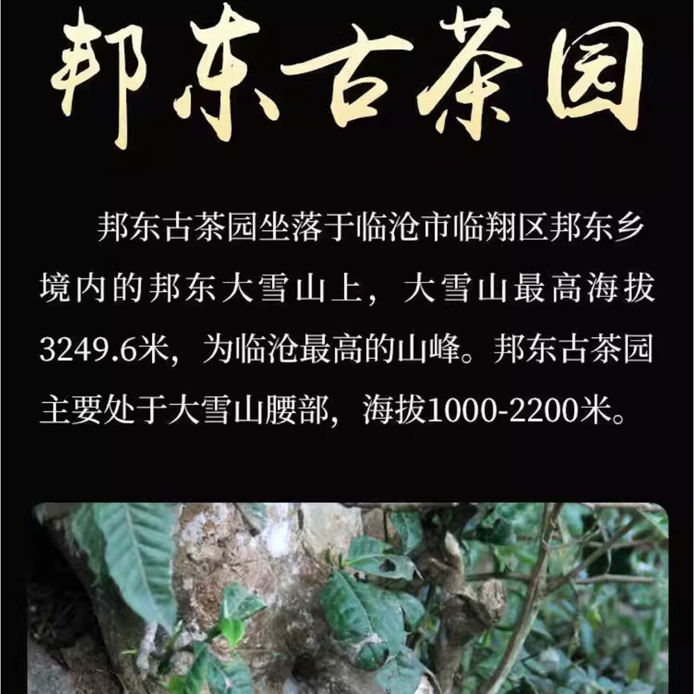 Pu-erh tea,2016,SHENG JIA YUAN,邦東 Bangdong,357g,cooked
