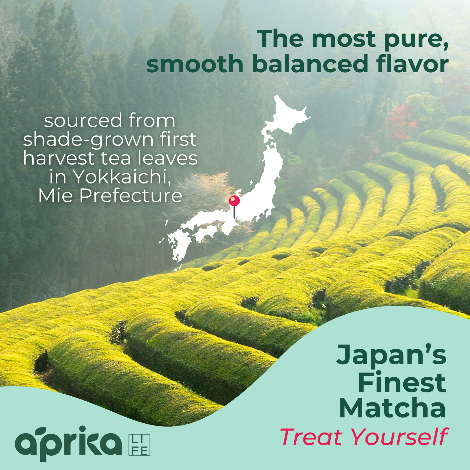 1st Harvest Ceremonial Grade Matcha Green Tea Powder, made in Japan, 100% pure