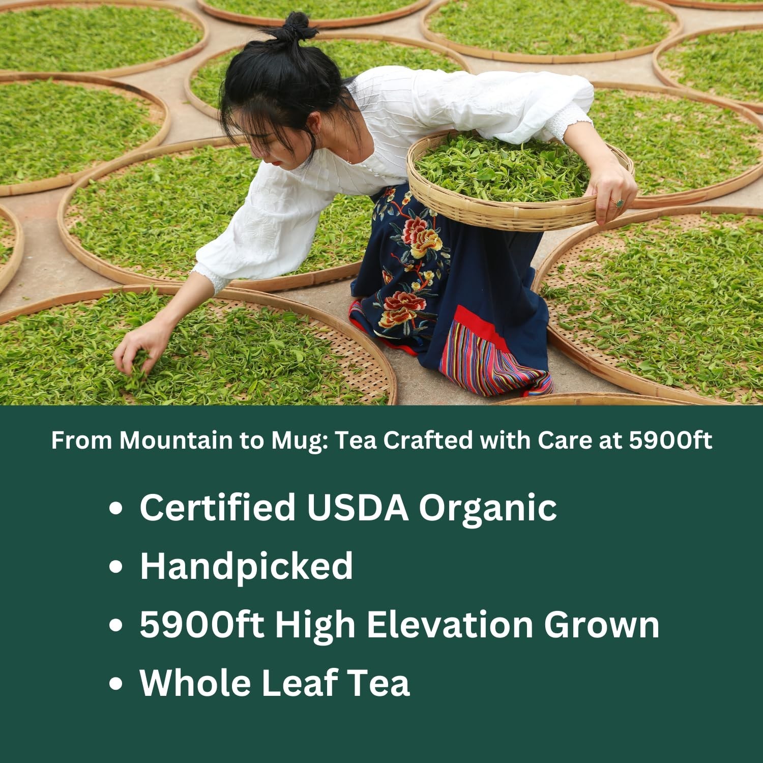 PiPi Tea Organic Oolong Bags – Whole Leaf, 20 (4g Each) 20 .