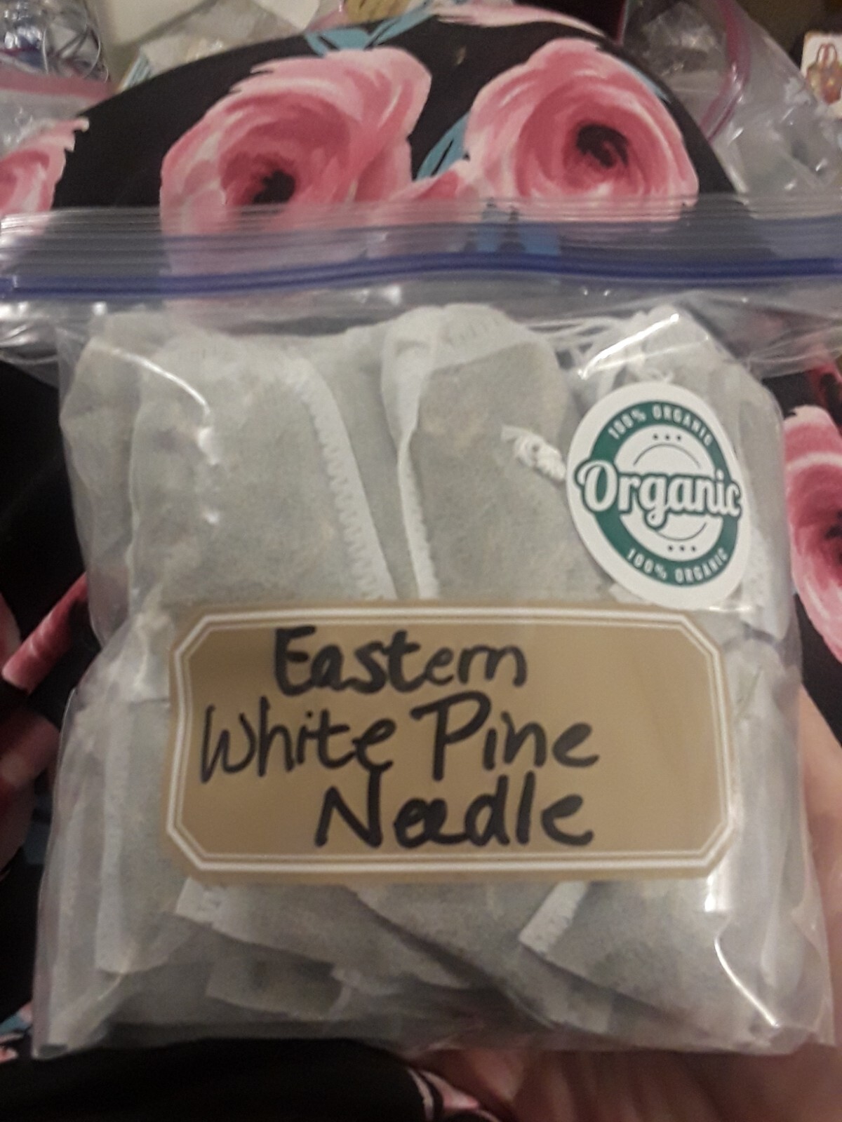 75 Pc LOT: Organic Eastern White Pine Needle Tea Bags Fresh Harvested Tree Bag