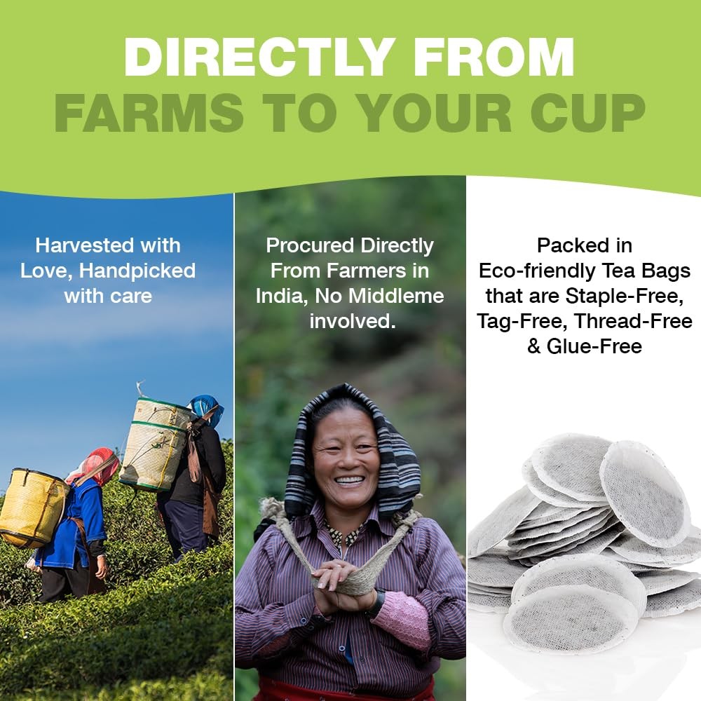 Organic Green Tea Bags – 100 Eco-Friendly, USDA Certified, Resealable Pack