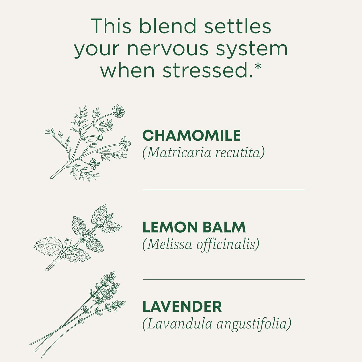 Tea, Organic Chamomile & Lavendar, Stress Relief, 96 Tea Bags (6 Pack)