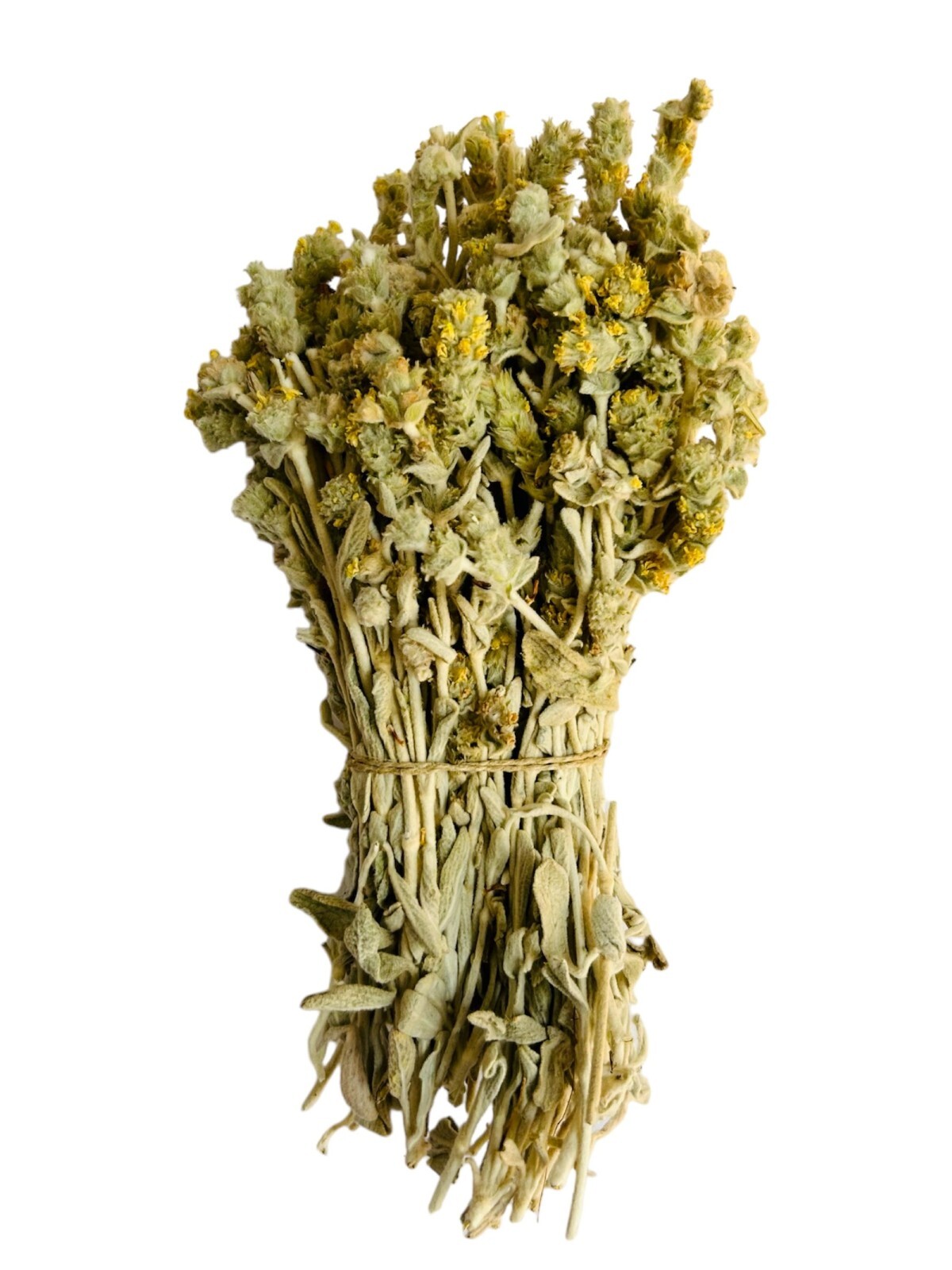Greek Mountain Tea Malotira Sideritis Syriaca 220g – 1.95Kg Harvest June 2024