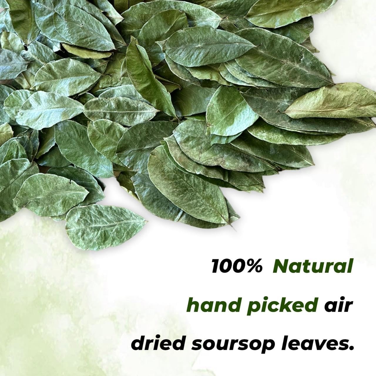 Dried Soursop Leaves – Organic, Non-GMO, Caffeine-Free Herbal Tea, 270+ Count