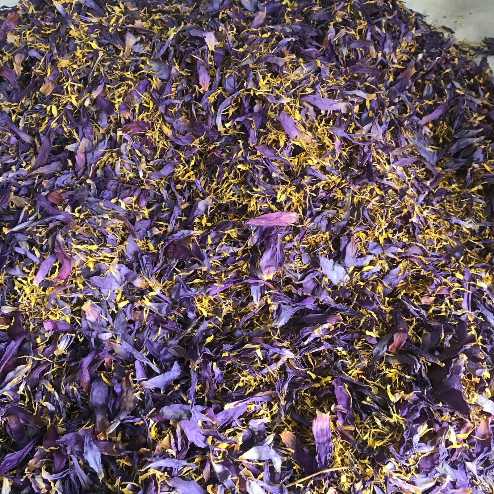 Dried Blue Lotus |Whole Flowers |Petal & Stamen| Tea Cut | Nymphaea Caerulea